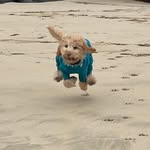 Debra Dooley - @djdooley27 - Instagram