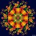 Deborah Doucet - Facebook