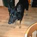 Debra Downey - Facebook