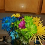 Debra Greathouse Drennen - @debragreathousedrennen - Instagram
