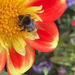 Debra Driver - @de88i - Instagram