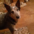 Debra Duke - Facebook