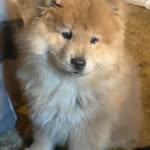 Debra Duke Anderson - @dduke50 - Instagram