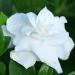 Debra Durham - @debra.durham.9822tghhhhghgy65f - Instagram