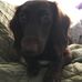 Debra Durham - Facebook
