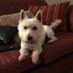 Deborah Dutton - @dutton_deborah - Instagram