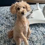 Annette Fiorananti - @debraeason765 - Instagram