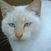 Deborah Easterling - Facebook