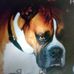 Deborah Eastman - Facebook