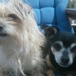 Debra Eastman - @eastmandebra - Instagram