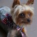 Debbie Eccles - Facebook