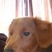 Debra Edmonds - Facebook