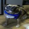 debraedmonds725 - @debraedmonds725 - TikTok