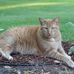 Debra Elswick - Facebook
