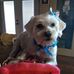 Debra Erwin - Facebook