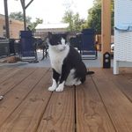 Debra Erwin - @debra.erwin.376 - Instagram