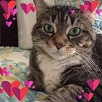 Debra everett - @debraeverett9717 - Instagram