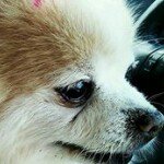 Debra J. Faison - @alwysdj - Instagram