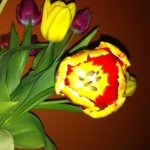 Deborah Fielding - @debsfielding583 - Instagram