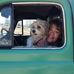 Debra Fielding - Facebook