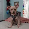 Debra Fields - @debrafields8 - TikTok