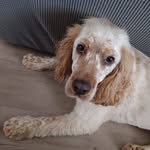 Debra Finlayson - @debrafinlayson - Instagram