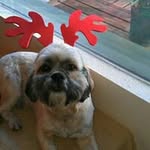 Debra Finley - @finleydebra - Instagram