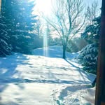 Deborah Fitzpatrick - @deborahefitzpatrick - Instagram
