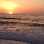Debra Fitzpatrick - @dfitz1956 - Instagram