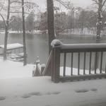 Debra Fitzpatrick Elliott - @debra13e - Instagram