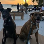 Debra Fitzpatrick Farquhar - @debra.farquhar.1 - Instagram