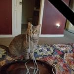 Debra Fitzpatrick Reichert - @debra.reichertfitzpatrick - Instagram