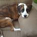 Debra Forrest - Facebook