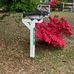 Debra Fowler - Facebook