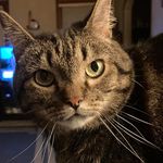 Deborah Fraley Thomas - @deborahfraleythomas - Instagram