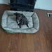 Debra Fraley - Facebook