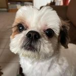 Debra Fraley Cain - @debracain52 - Instagram