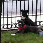 Debra Franklin - @debrae61 - Instagram