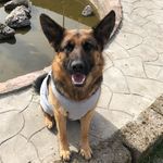 Debra - @debra.and.friends - Instagram