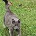 Debra Fulcher - Facebook