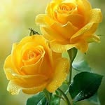 Debra Fuller - @debrafuller56 - Instagram