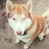 debrafunk509 - @debrafunk509 - TikTok