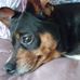 Debra Garrett - Facebook