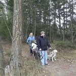 Debra Gauthier-Mcdonald - @debra.gauthiermcdonald - Instagram