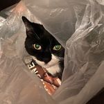 Debra Gift - @fishtogift - Instagram