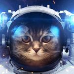 Debra Godwin - @one_moonbeam - Instagram