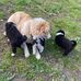 Debra Gore - Facebook