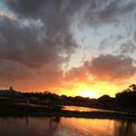 Debra Gore - @debbieagore - Instagram