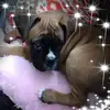 debragrace132 - @debragrace132 - TikTok