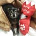 Debra Grant - Facebook